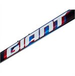 Khung xe đạp Giant TCR Advanced SL Frame And Fork
